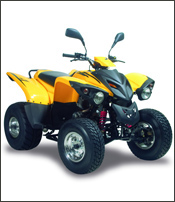 Ampliar Cross X ROAD 300