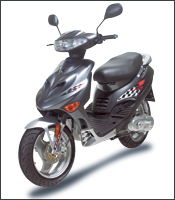 Ampliar Silver Fox
